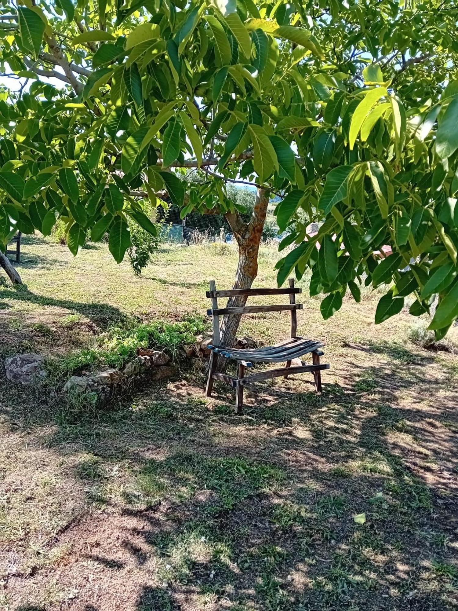 Bed and Breakfast Lugori Seulo Экстерьер фото