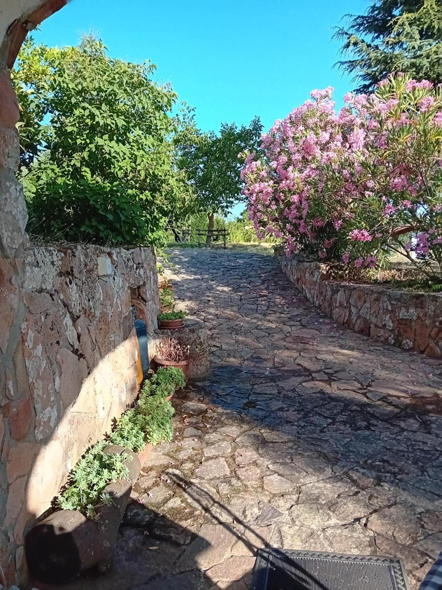 Bed and Breakfast Lugori Seulo Экстерьер фото