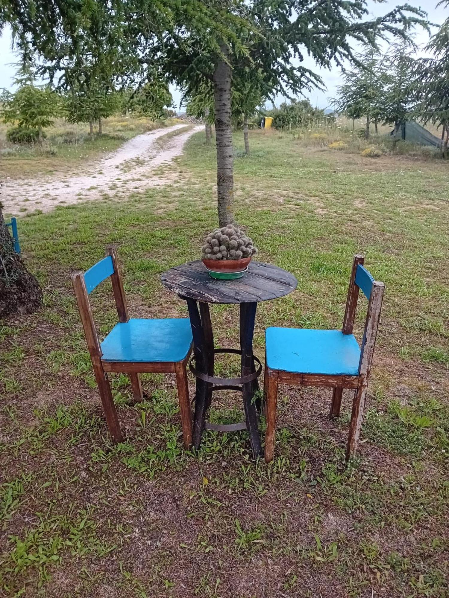 Bed and Breakfast Lugori Seulo Экстерьер фото
